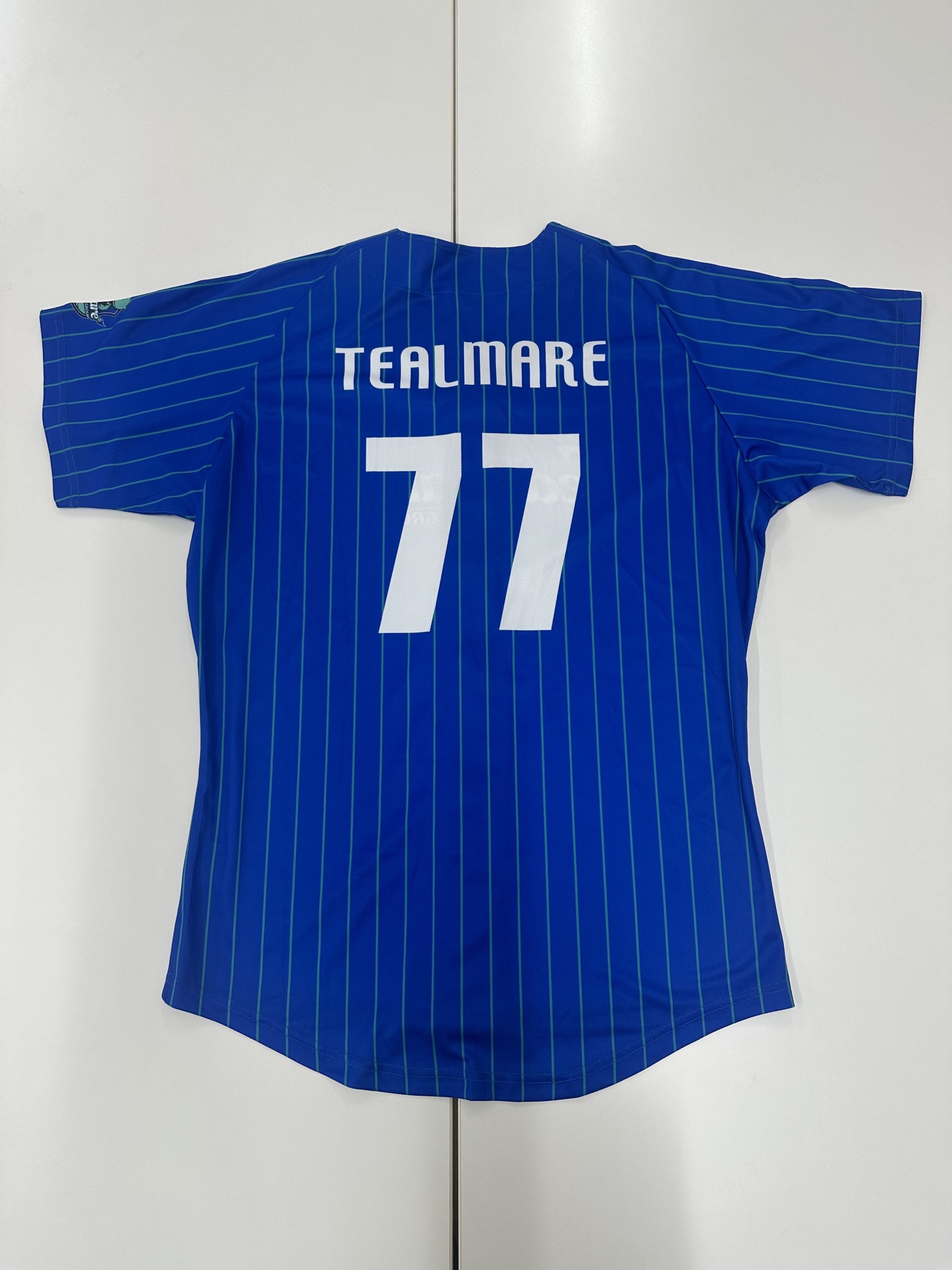 BBシャツ・背面